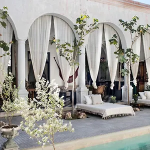 Casa Olivia Merida
