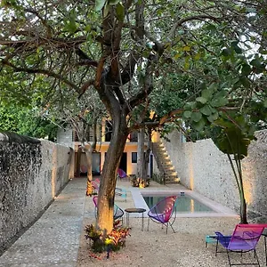 Hotelito Yum Kaax Merida
